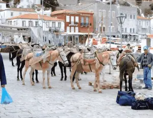 Ослики на острове Гидра