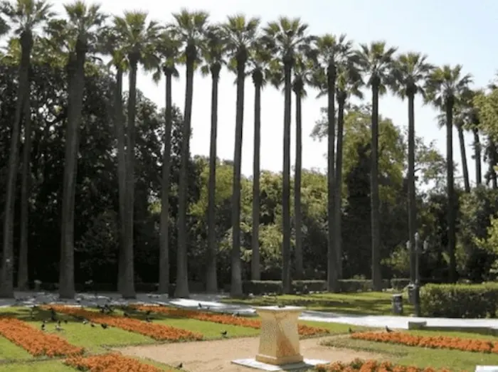 Национальный сад Афин