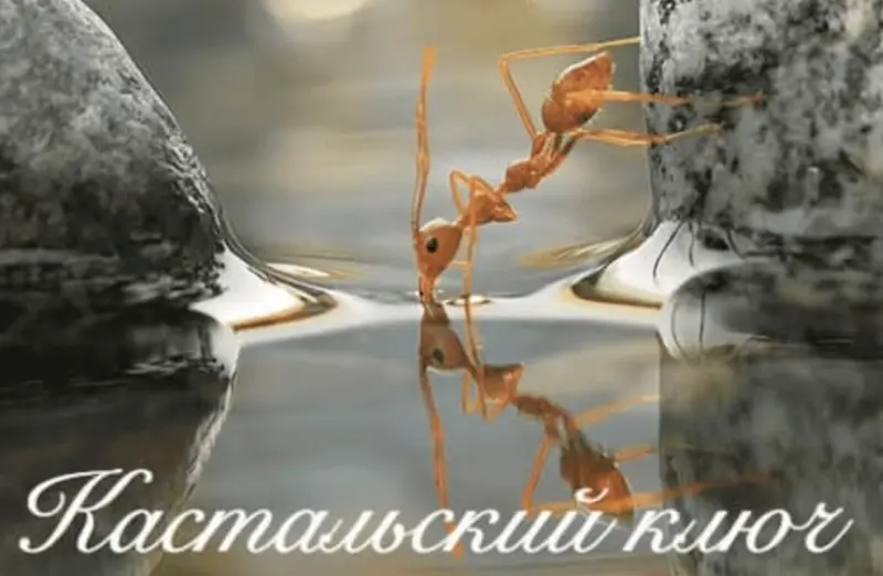 Дельфийский комплекс: общий вид